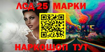 стафф Будённовск