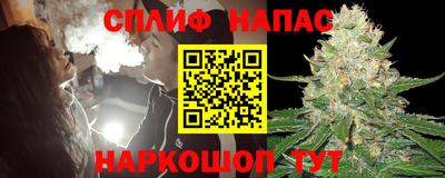 стафф Будённовск