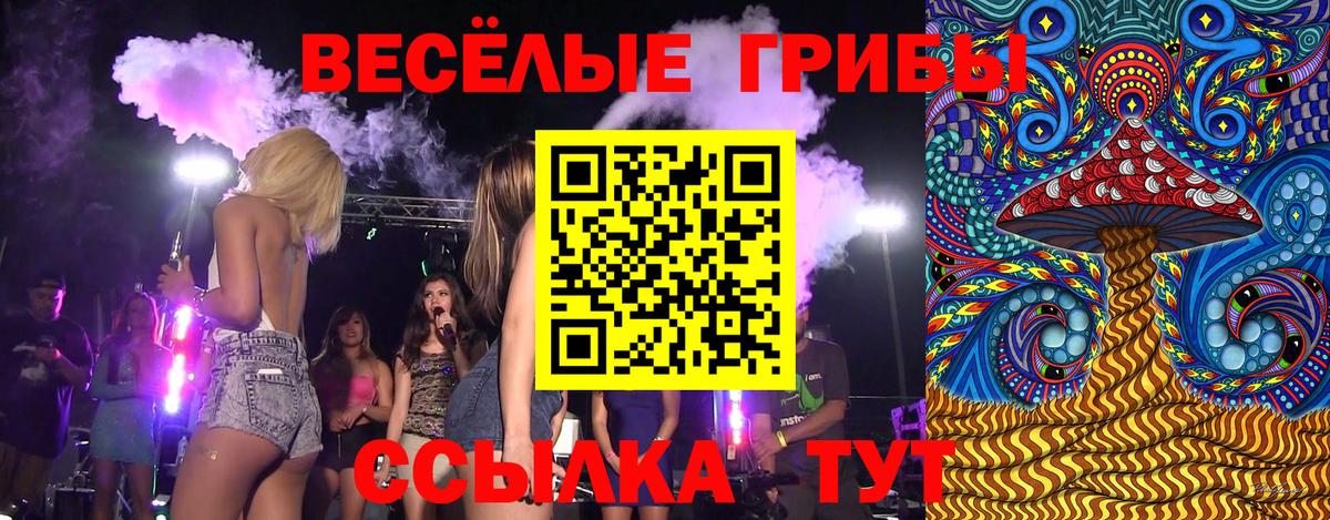 где купить наркоту  Вход с VPN  Кудымкар  Галлюциногенные грибы ЛСД 